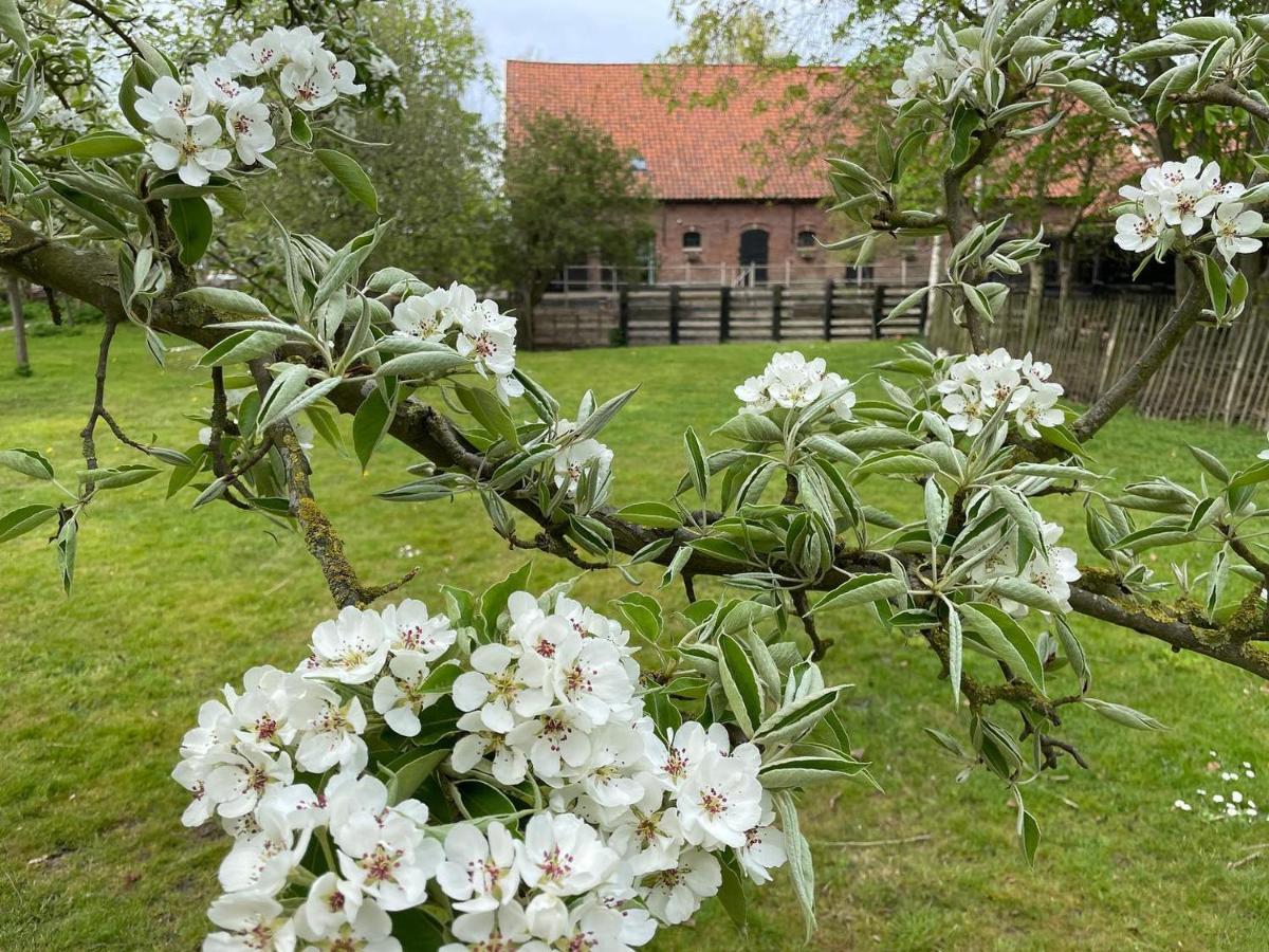 De Zeeuwsche Hoeve Kerkwerve Eksteriør billede