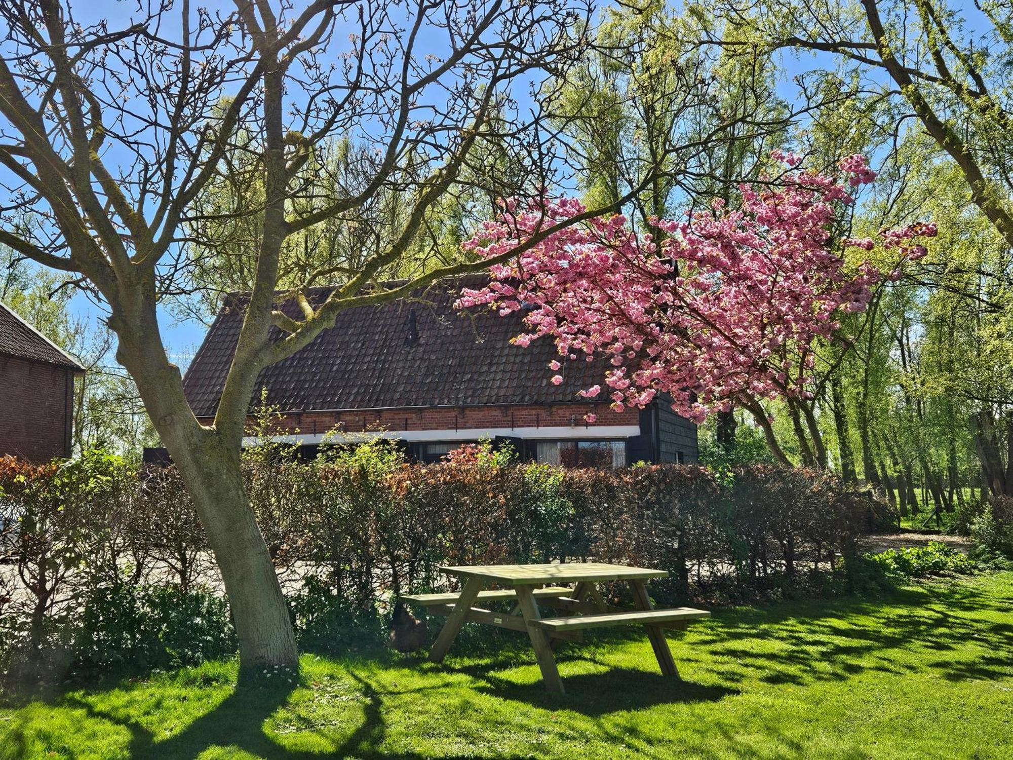 De Zeeuwsche Hoeve Kerkwerve Eksteriør billede