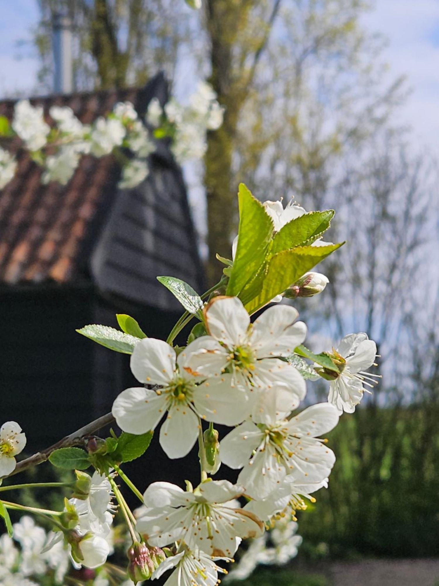 De Zeeuwsche Hoeve Kerkwerve Eksteriør billede