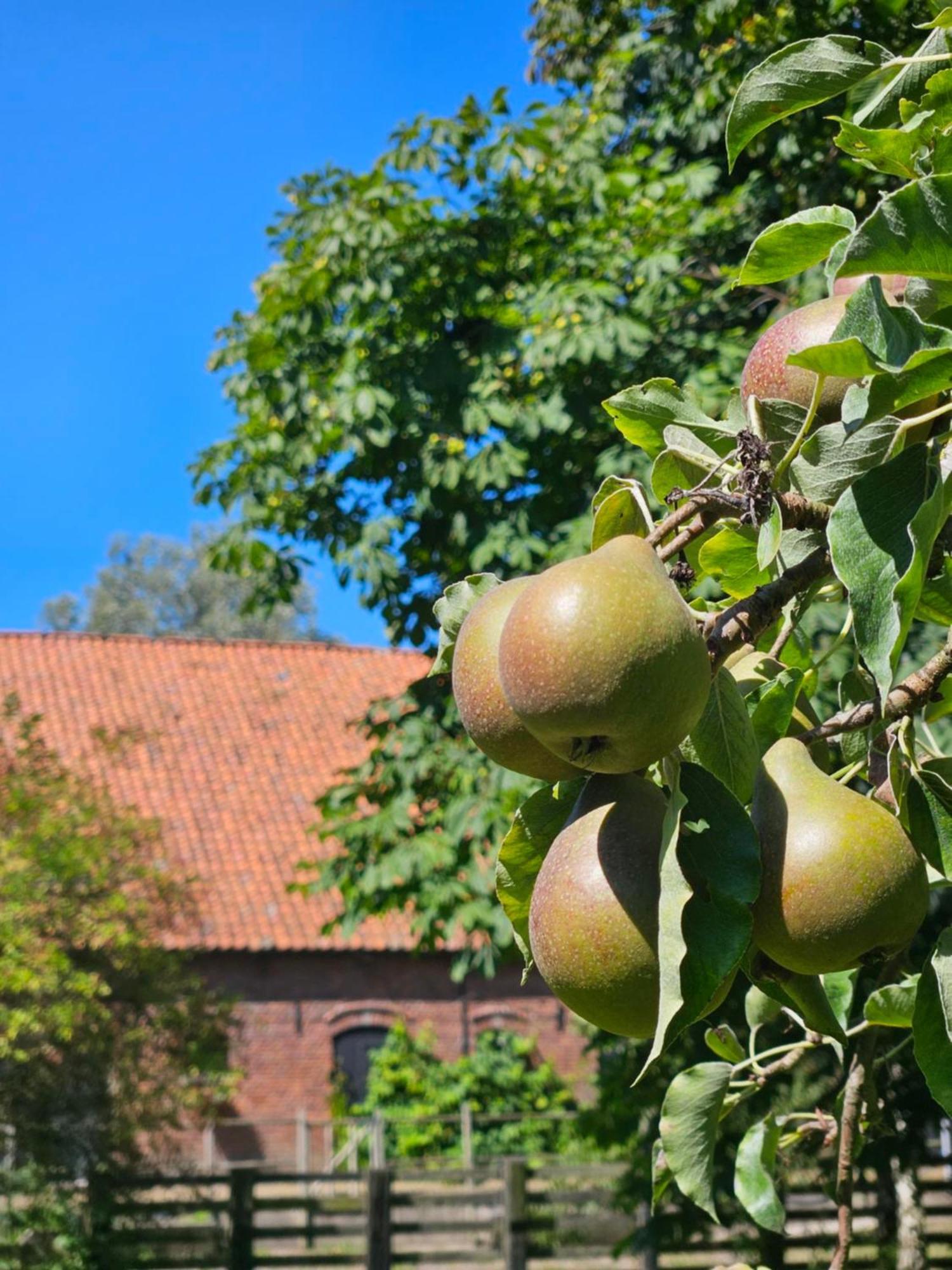 De Zeeuwsche Hoeve Kerkwerve Eksteriør billede