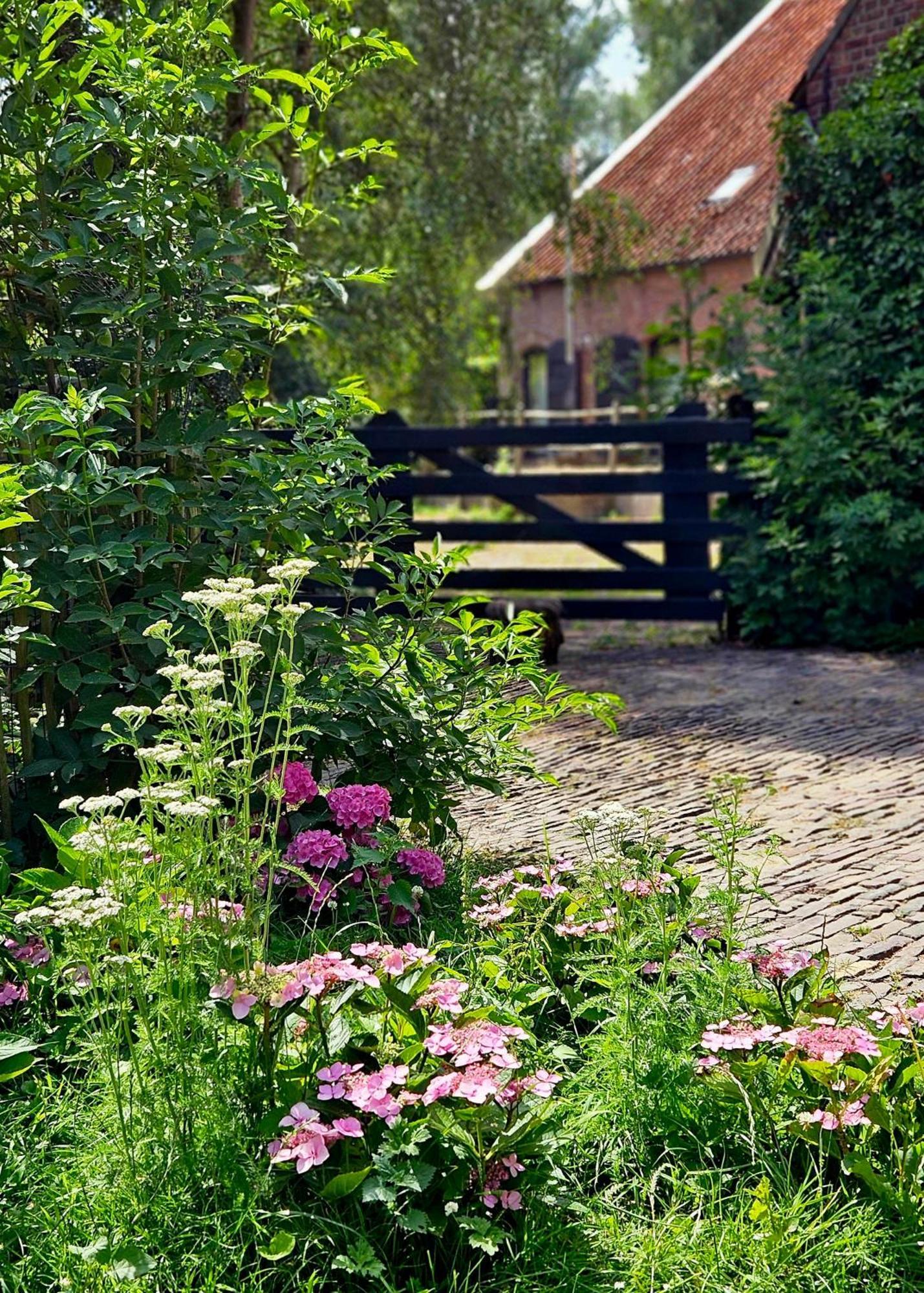 De Zeeuwsche Hoeve Kerkwerve Eksteriør billede